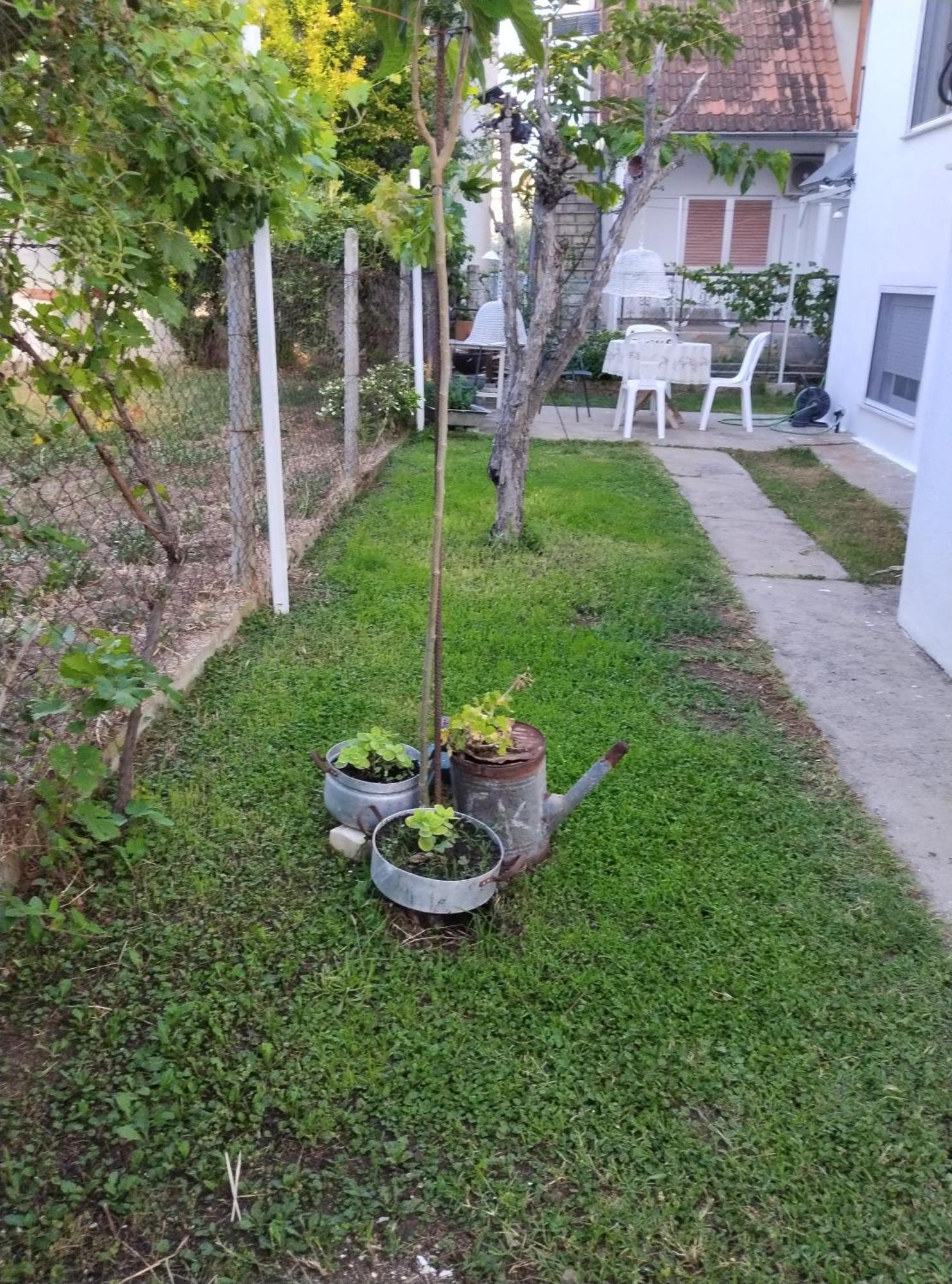 Θαλασσινή Αυρα Villa Nea Vrasna Exterior photo